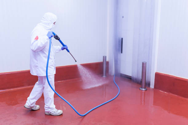 Best Roof Washing  in Royal Oak, MI