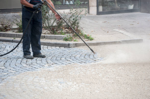 Best Dumpster Area Cleaning  in Royal Oak, MI